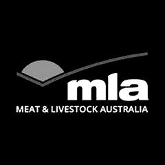 MLA